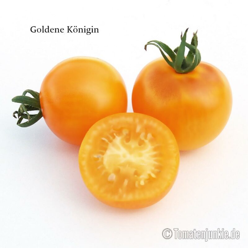 Tomatensorte Goldene Königin