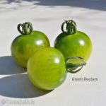Tomatensorte Green Doctors