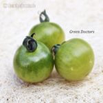 Tomatensorte Green Doctors