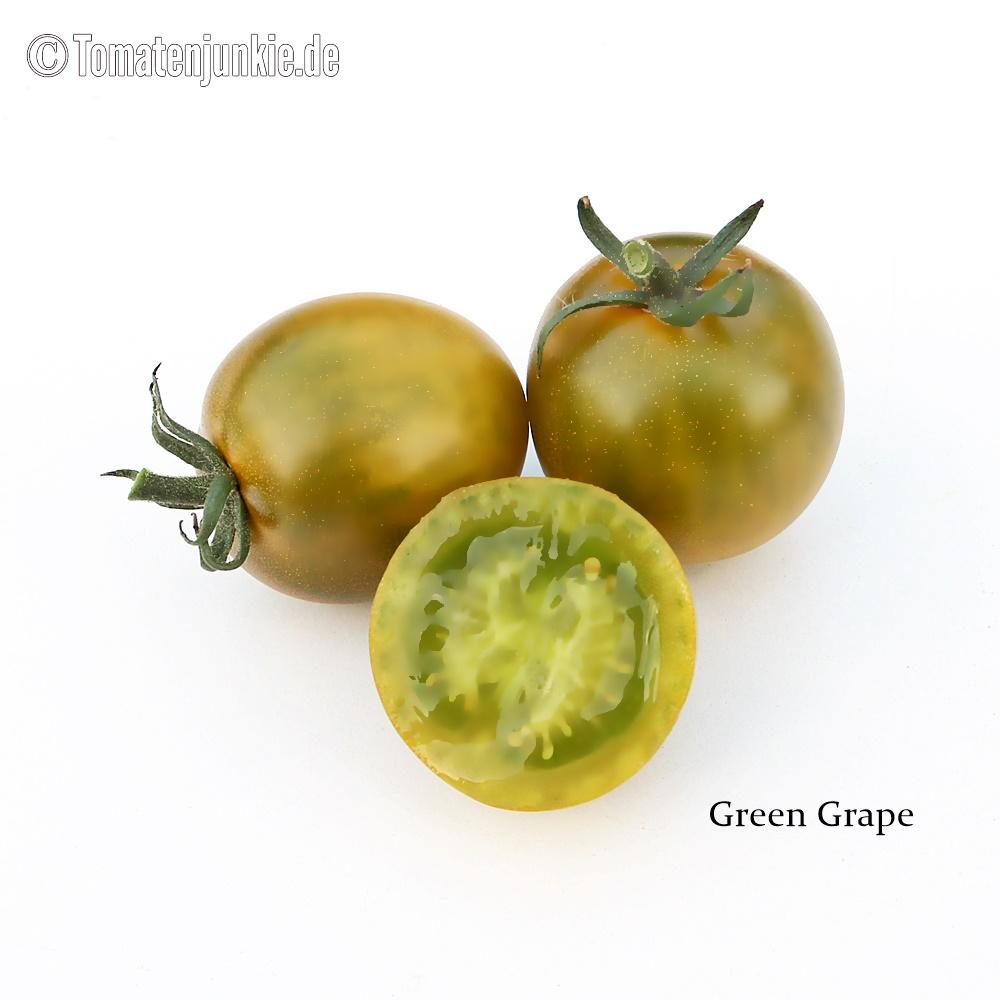 Tomatensorte Green Grape