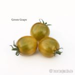 Tomatensorte Green Grape