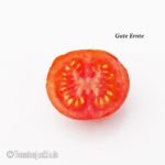 Tomatensorte Gute Ernte