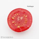 Tomatensorte Harbinger