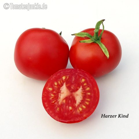 Tomatensorte Harzer Kind