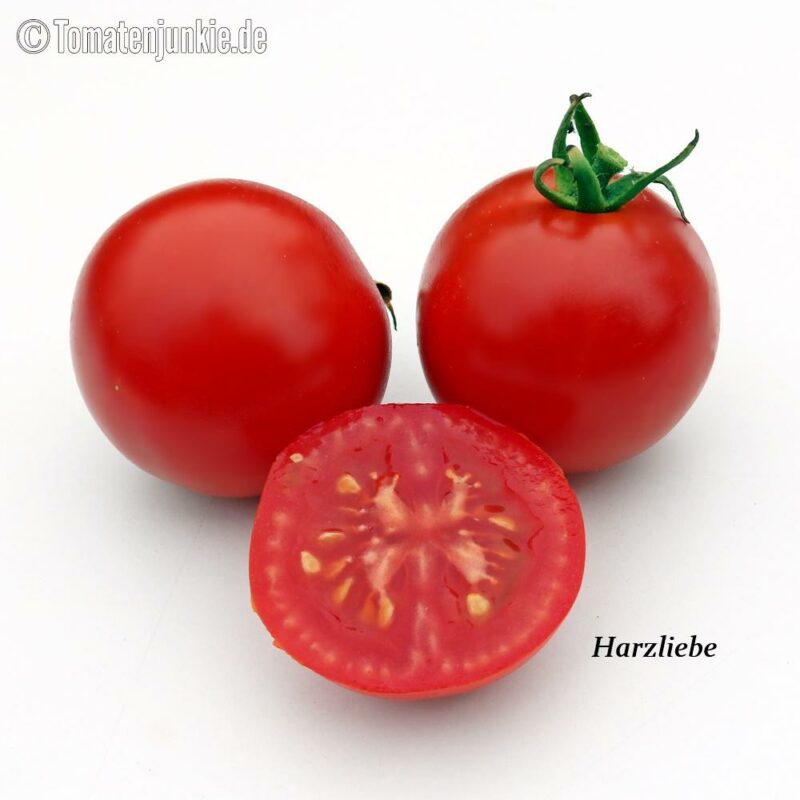 Tomatensorte Harzliebe