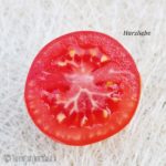 Tomatensorte Harzliebe