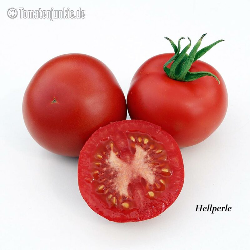 Tomatensorte Hellperle