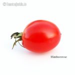 Tomatensorte Himbeerrose