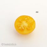 Tomatensorte Ildi