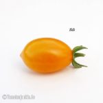 Tomatensorte Ildi