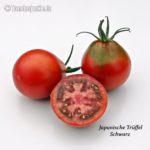 Tomatensorte Japanische Trüffel Schwarz