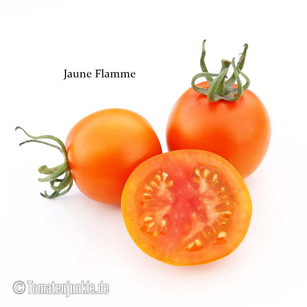 Tomatensorte Jaune Flamme