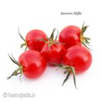 Tomatensorte Justens Süße