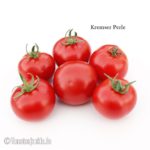 Tomatensorte Kremser Perle