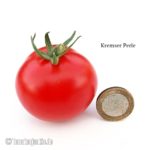 Tomatensorte Kremser Perle