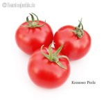 Tomatensorte Kremser Perle