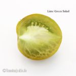 Tomatensorte Lime Green Salad