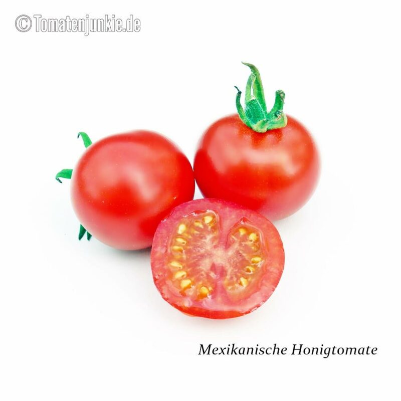 Tomatensorte Mexikanische Honigtomate