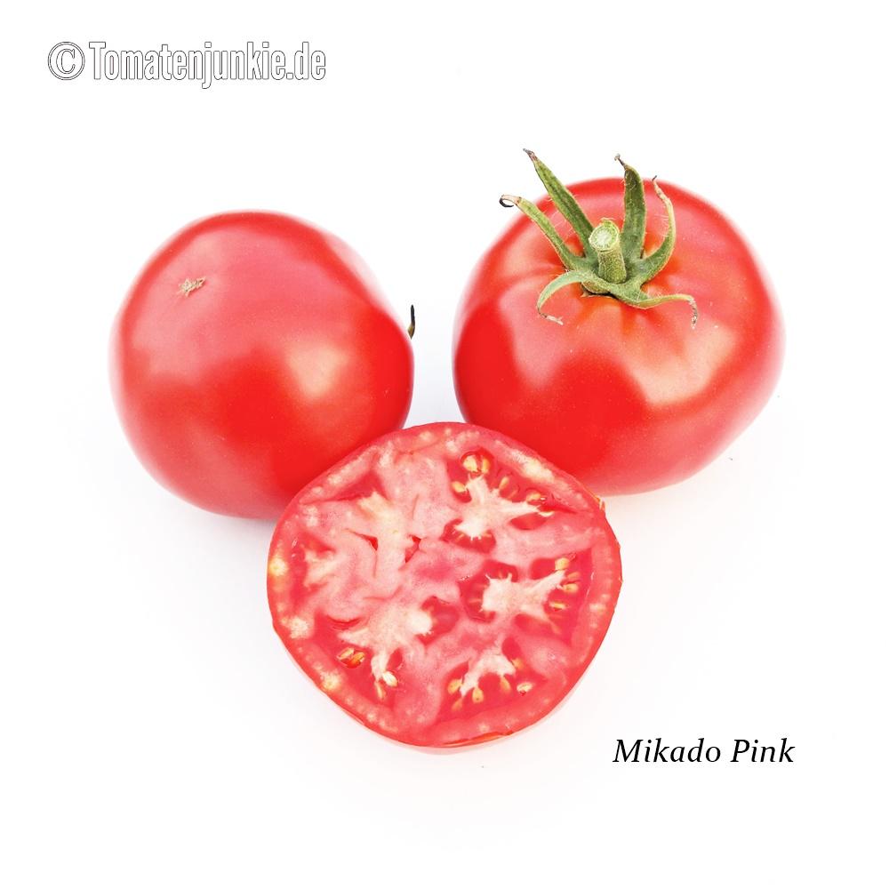 Mikado Pink rosa Tomate aus Russland Fleischtomate alte russische Sorte robust 