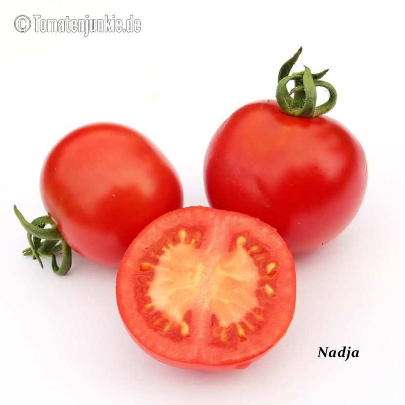Tomatensorte Nadja