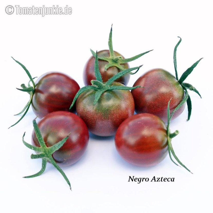 Tomatensorte Negro Azteca