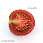 Tomatensorte Negro Azteca