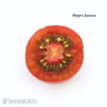 Tomatensorte Negro Azteca