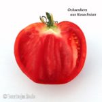 Tomatensorte Ochsenherz aus Kasachstan