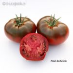 Paul Robeson Fleischtomate