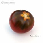 Paul Robeson Salattomate