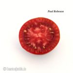 Paul Robeson Salattomate