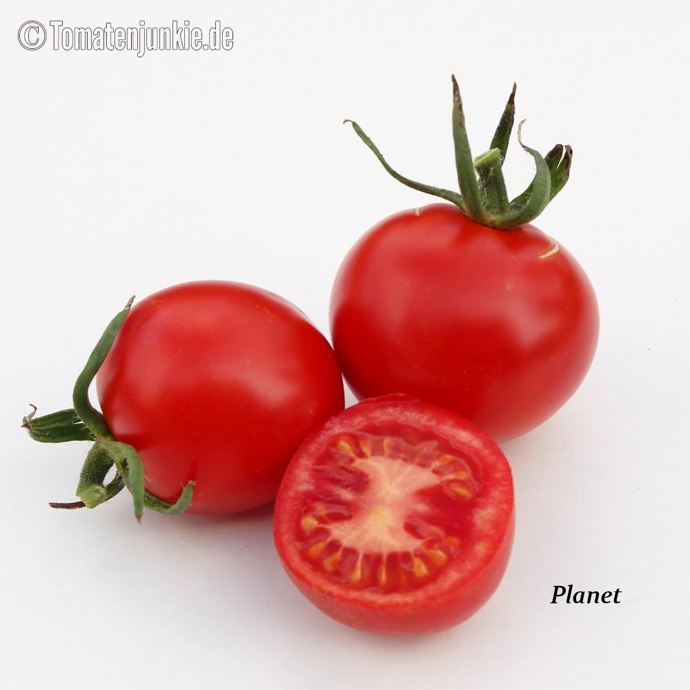 Tomatensorte Planet