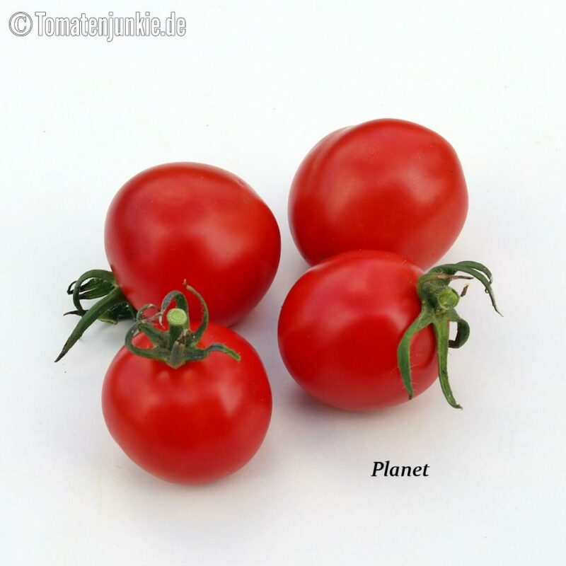 Tomatensorte Planet
