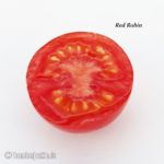 Tomatensorte Red Robin