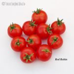 Tomatensorte Red Robin