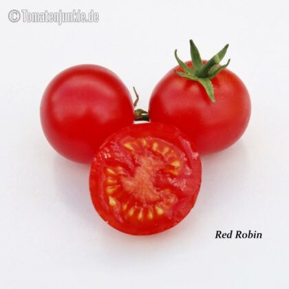 Tomatensorte Red Robin