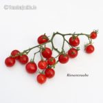 Tomatensorte Riesentraube