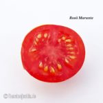 Tomatensorte Rosii Marunte