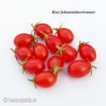 Tomatensorte Rote Johannisbeertomate