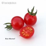 Tomatensorte Rote Murmel
