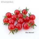 Tomatensorte Rote Murmel