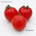 Tomatensorte Rotkäppchen
