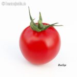 Tomatensorte Ruthje