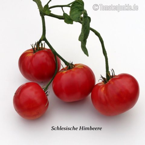 schlesische himbeere tomate receta