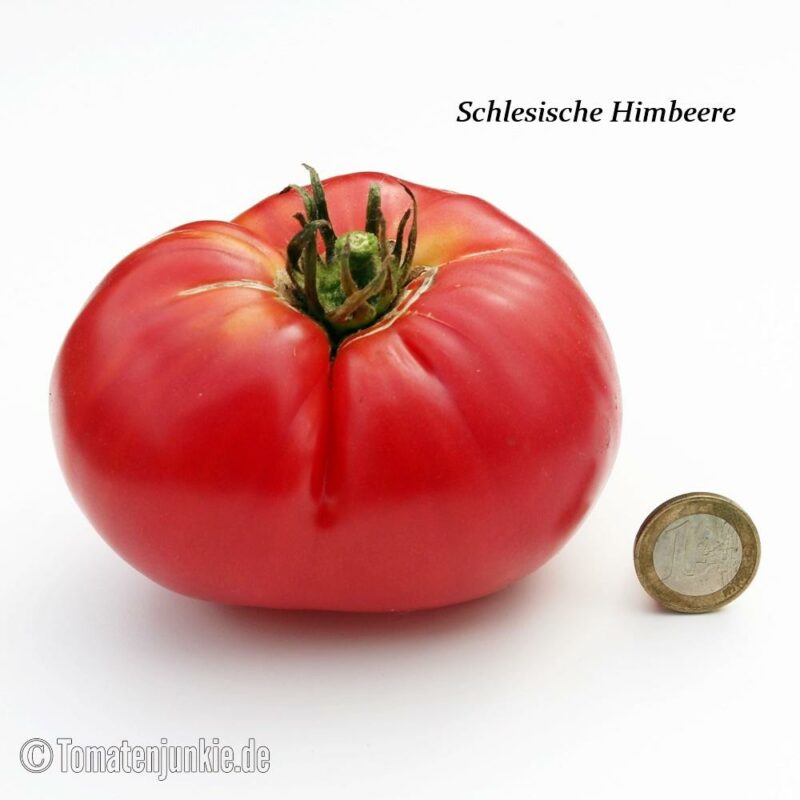 Tomatensorte Schlesische Himbeere