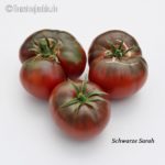 Tomatensorte Schwarze Sarah