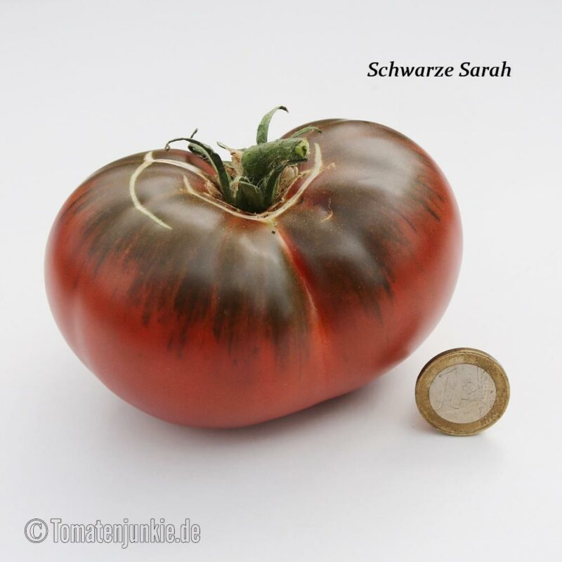 Tomatensorte Schwarze Sarah
