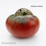 Tomatensorte Schwarze Sarah