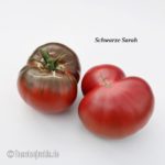 Tomatensorte Schwarze Sarah