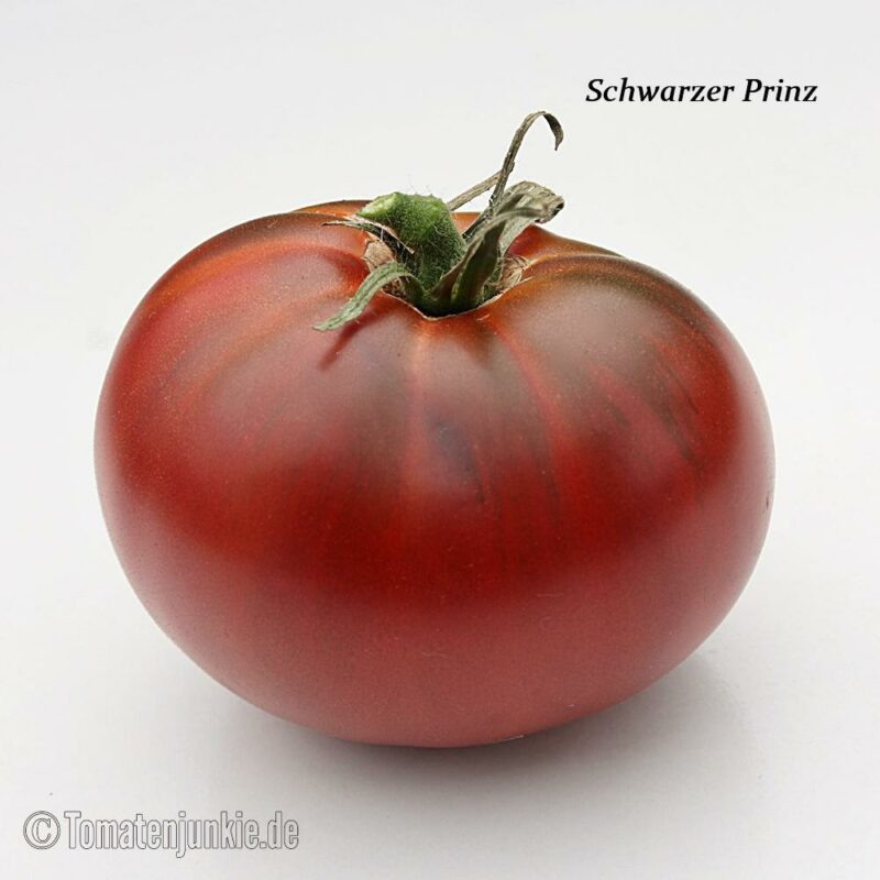 Tomatensorte Schwarzer Prinz